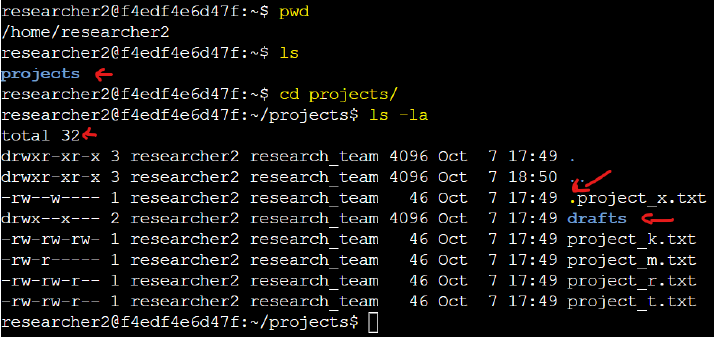 Listing directories with pwd command